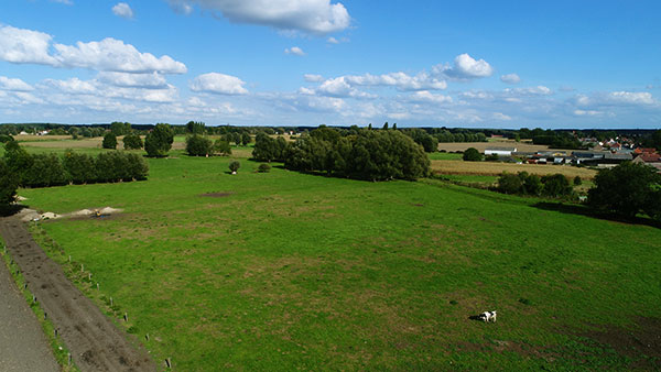 Ferme de Clos de Terre Neuve 