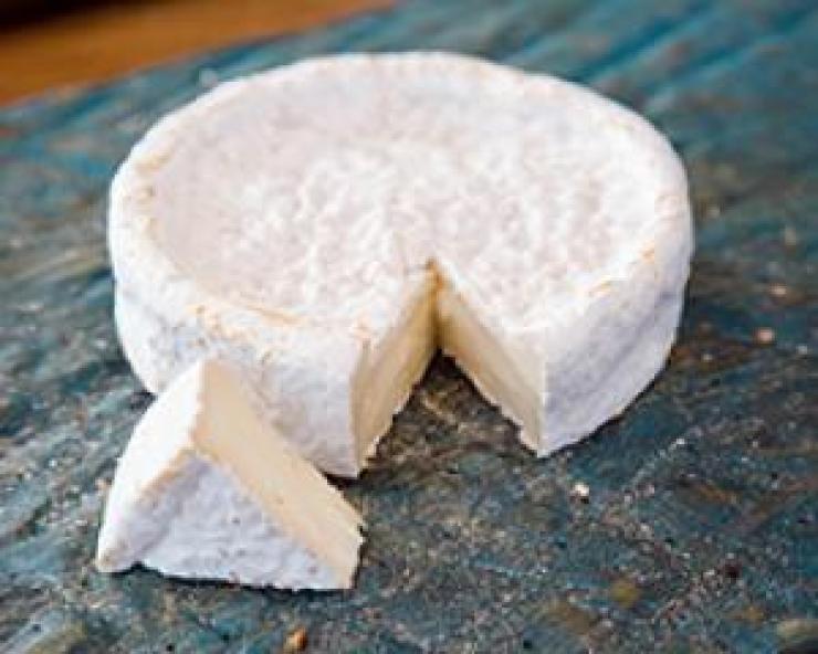 
                    Fromages frais fermiers de la ferme du Clos de Terre neuve à douai